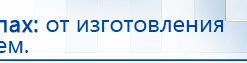 Электрод Скэнар - лицевой двойной Пешки купить в Йошкар-оле, Электроды Скэнар купить в Йошкар-оле, Скэнар официальный сайт - denasvertebra.ru